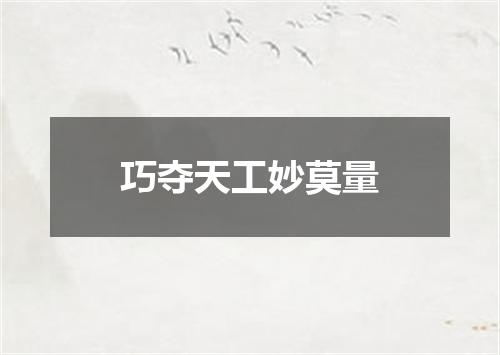 巧夺天工妙莫量