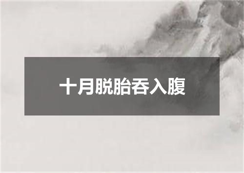 十月脱胎吞入腹