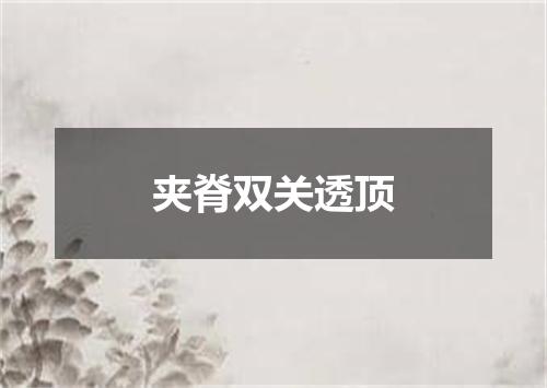 夹脊双关透顶