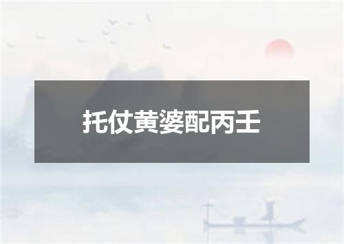 托仗黄婆配丙壬