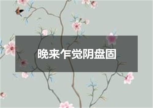 晚来乍觉阴盘固