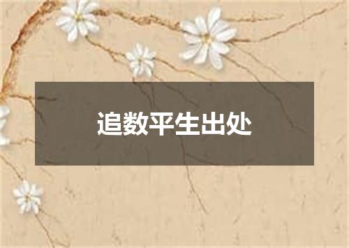 追数平生出处