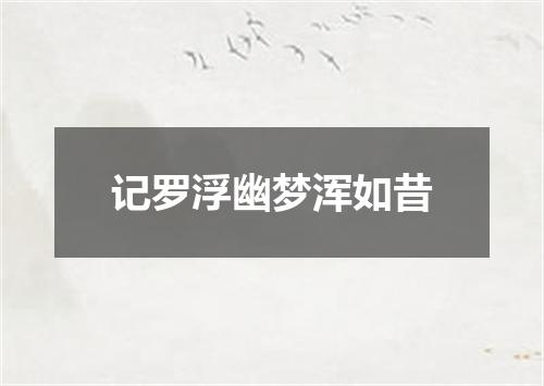 记罗浮幽梦浑如昔