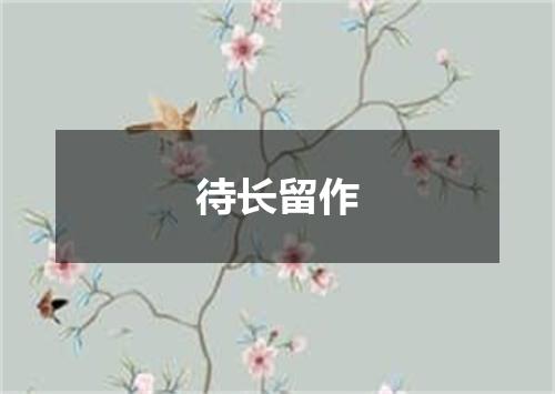 待长留作