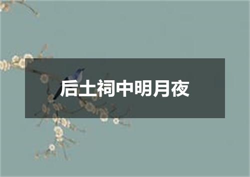 后土祠中明月夜