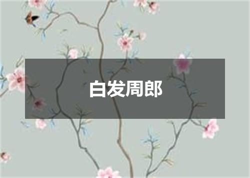白发周郎