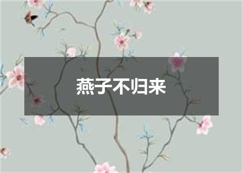 燕子不归来