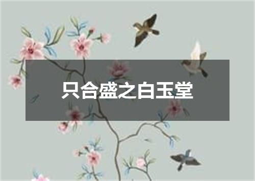 只合盛之白玉堂