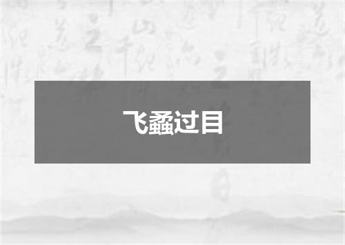 飞蟊过目
