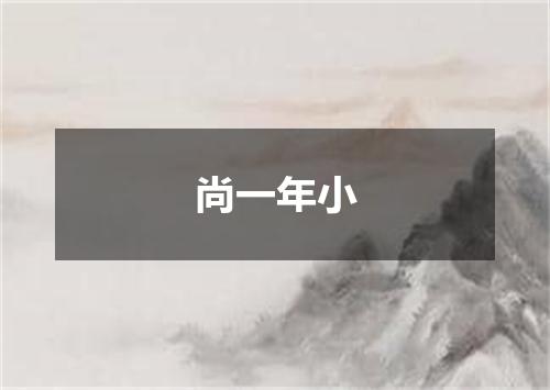 尚一年小