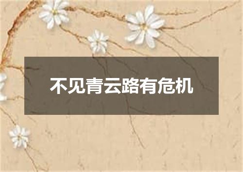 不见青云路有危机
