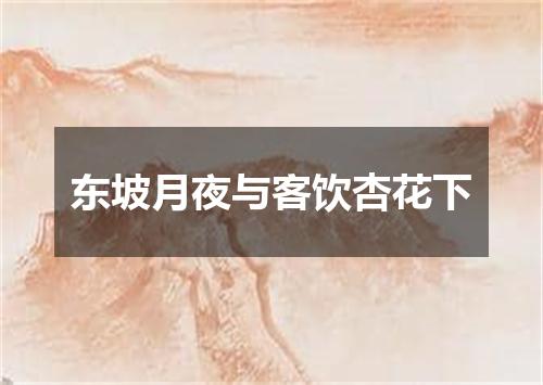 东坡月夜与客饮杏花下