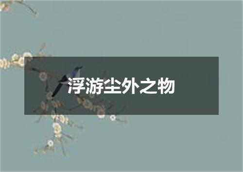 浮游尘外之物