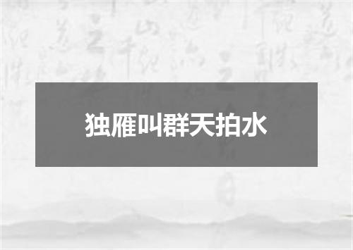 独雁叫群天拍水
