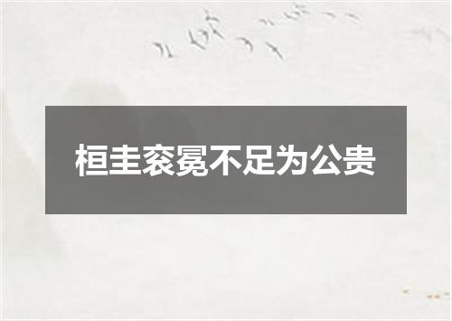 桓圭衮冕不足为公贵