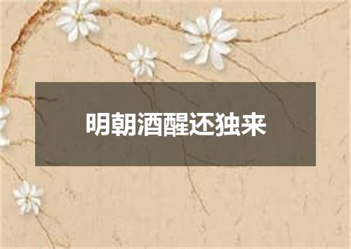 明朝酒醒还独来