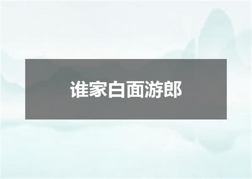 谁家白面游郎
