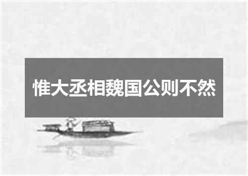 惟大丞相魏国公则不然