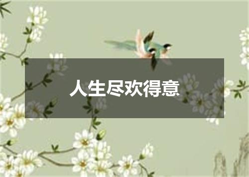 人生尽欢得意