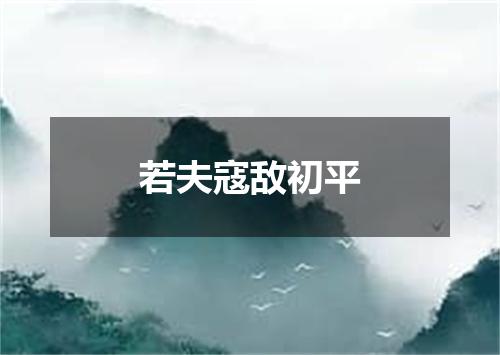 若夫寇敌初平
