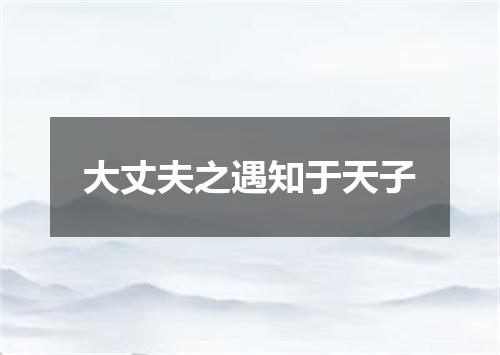 大丈夫之遇知于天子