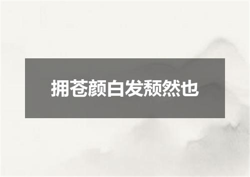 拥苍颜白发颓然也