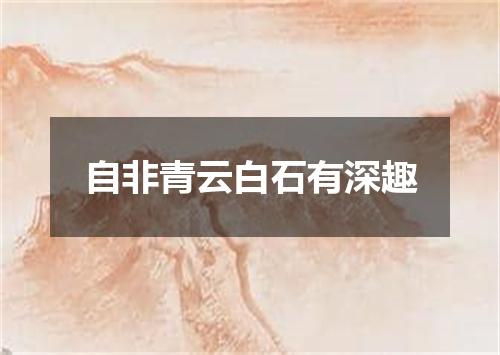 自非青云白石有深趣