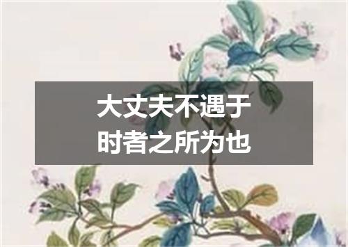 大丈夫不遇于时者之所为也