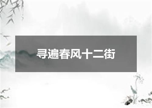 寻遍春风十二街