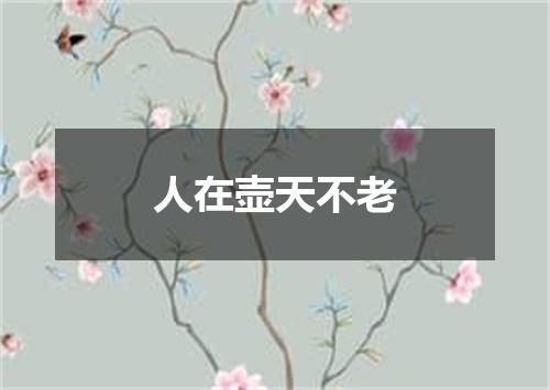 人在壶天不老