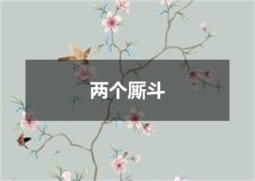 两个厮斗