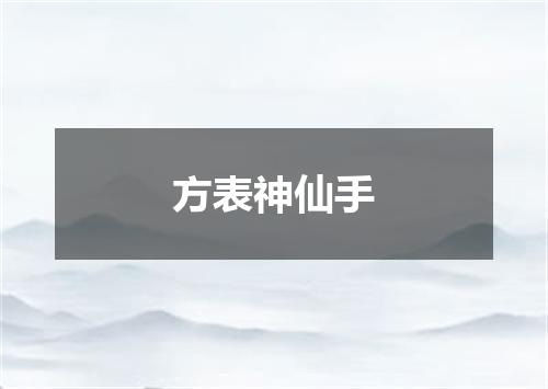 方表神仙手