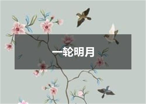 一轮明月