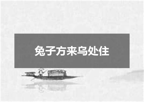 兔子方来乌处住