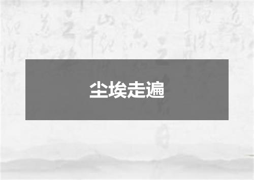 尘埃走遍