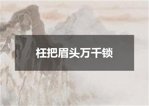 枉把眉头万千锁