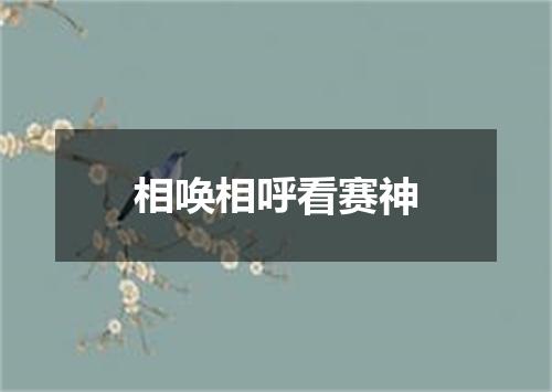 相唤相呼看赛神
