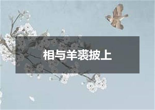 相与羊裘披上