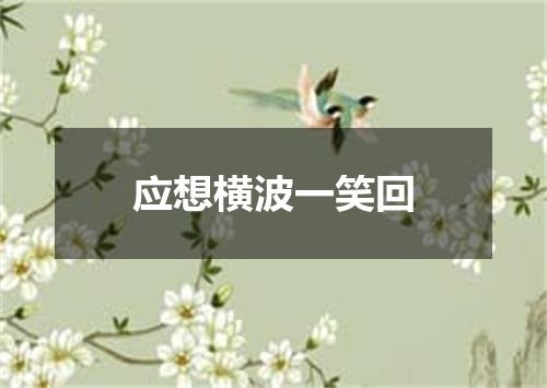 应想横波一笑回