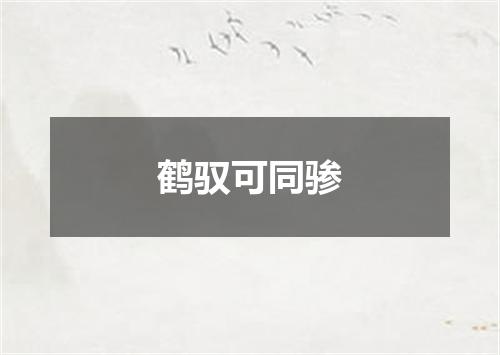 鹤驭可同骖