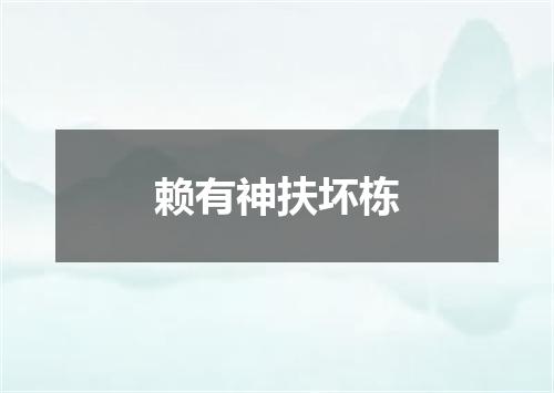 赖有神扶坏栋