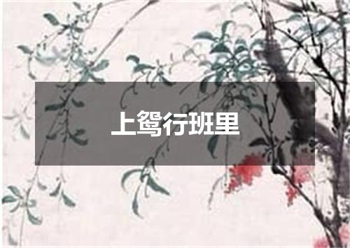 上鸳行班里