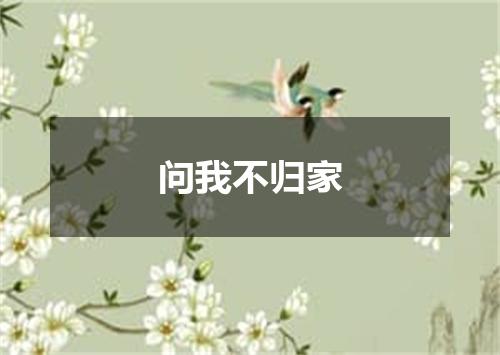 问我不归家