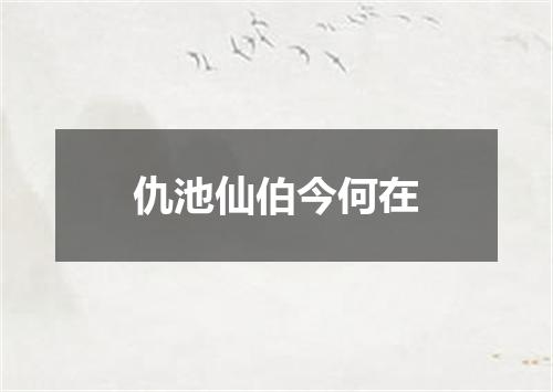 仇池仙伯今何在