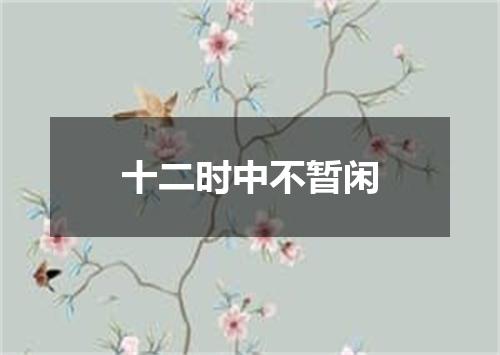 十二时中不暂闲
