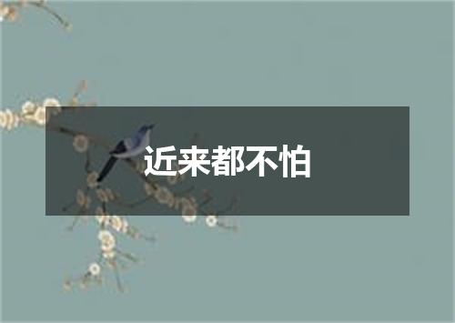 近来都不怕