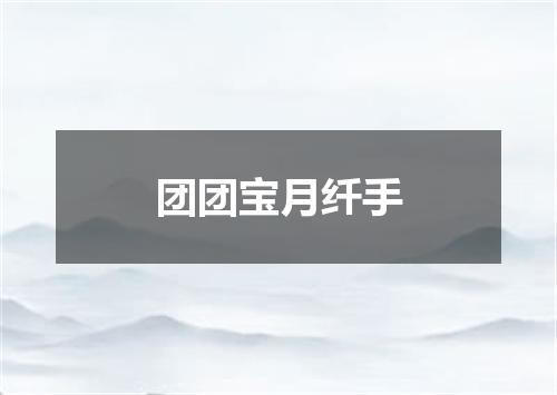 团团宝月纤手