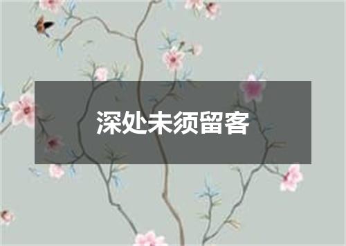 深处未须留客