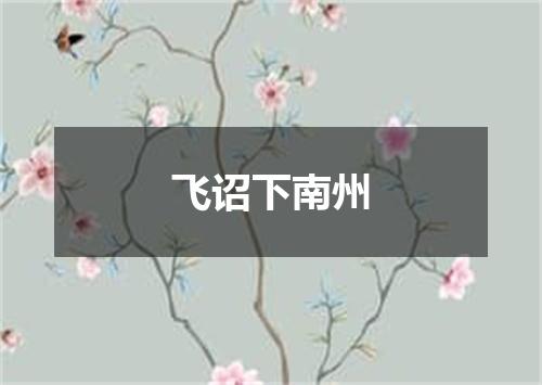 飞诏下南州