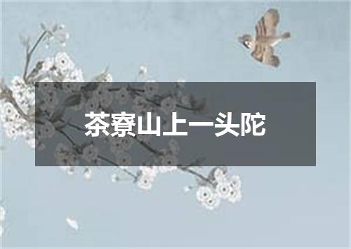 茶寮山上一头陀